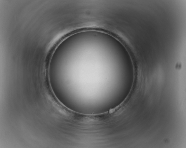 X0000112961270200909031013