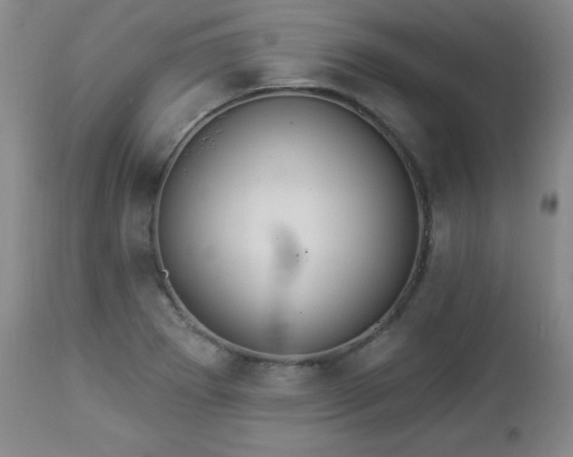 X0000112961273200909031013