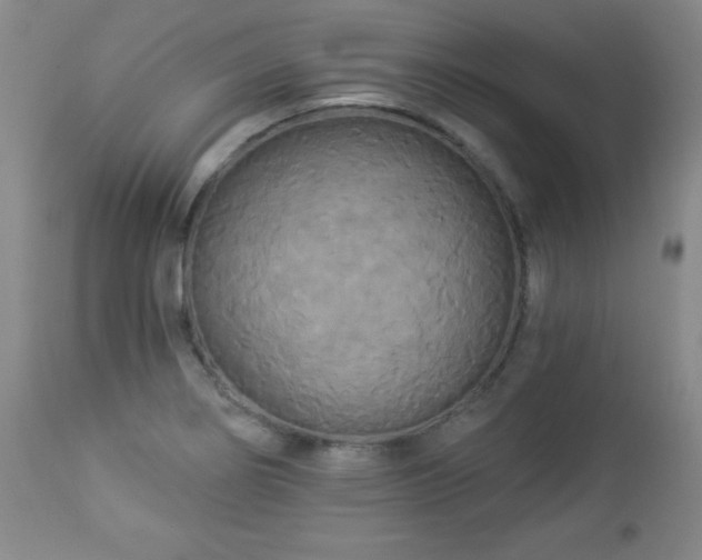 X0000112961274200909031013