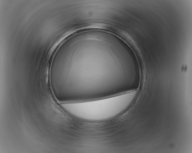 X0000112961276200909031013