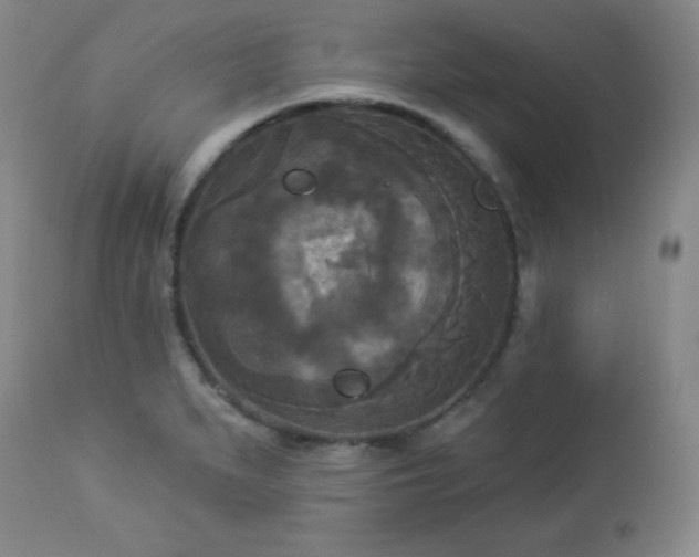 X0000112961279200909031013