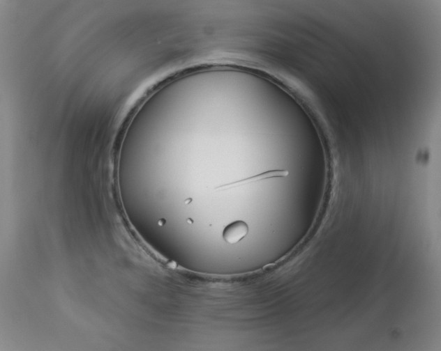 X0000112961280200909031013