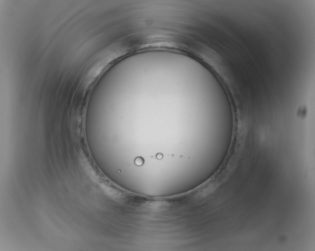 X0000112961282200909031013