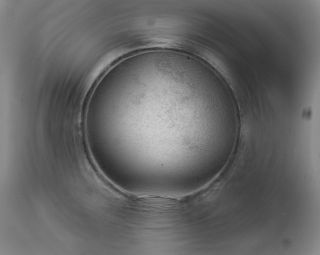 X0000112961283200909031013