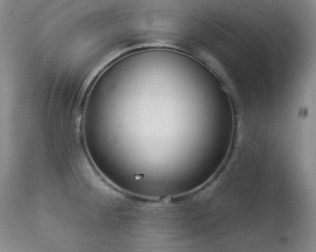 X0000112961284200909031013