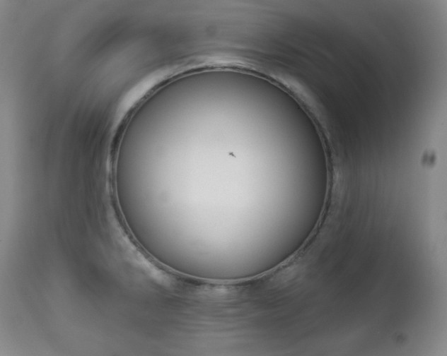 X0000112961286200909031013