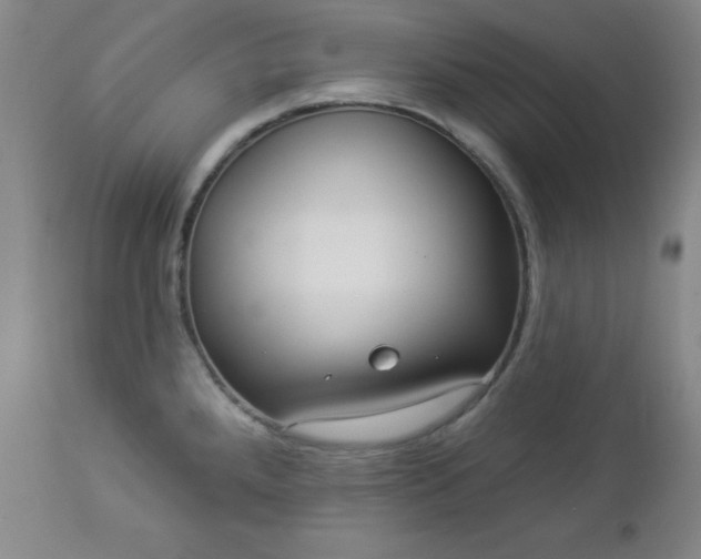 X0000112961288200909031013