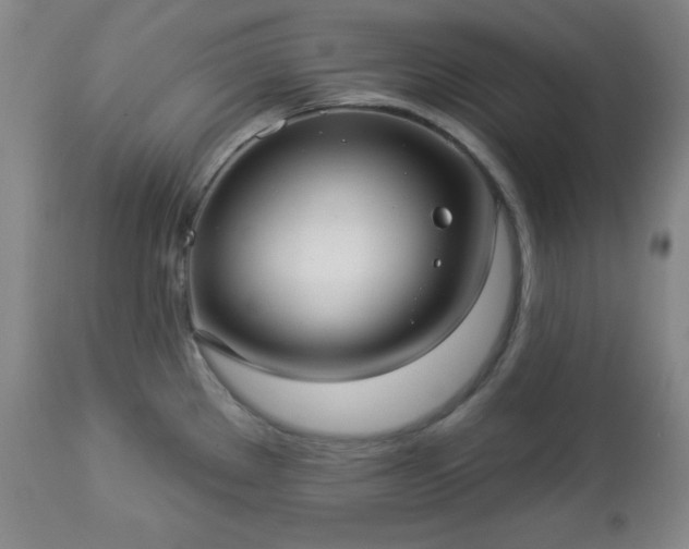 X0000112961289200909031013