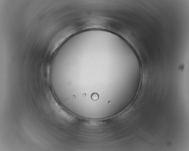 X0000112961290200909031013