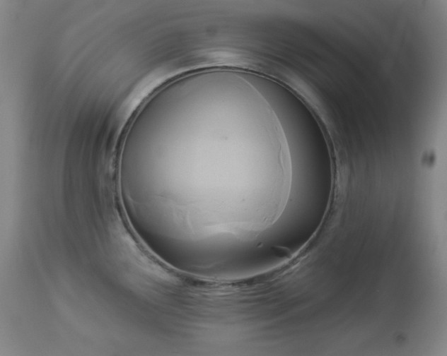 X0000112961291200909031013