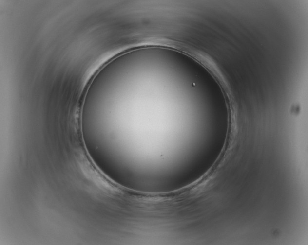 X0000112961292200909031013