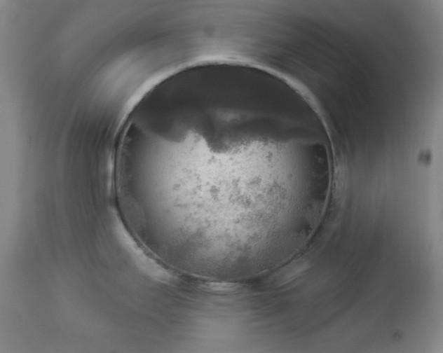 X0000112961295200909031012