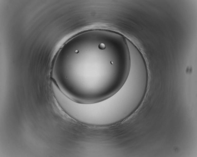 X0000112961296200909031012