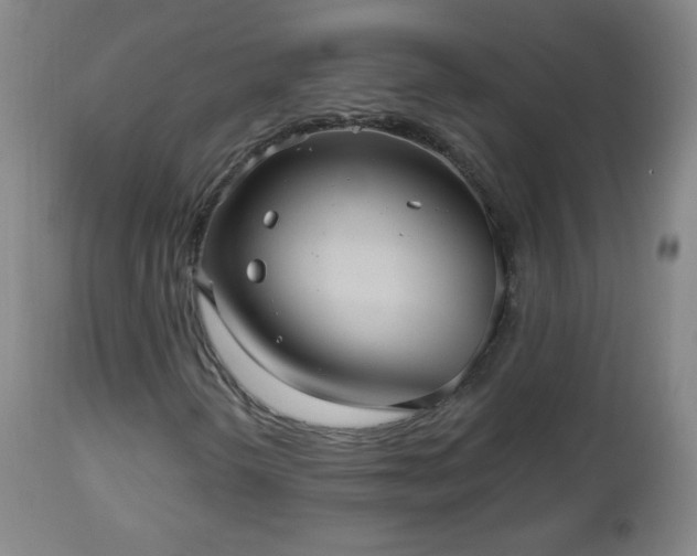 X0000112961298200909031012