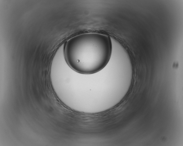 X0000112961300200909031012