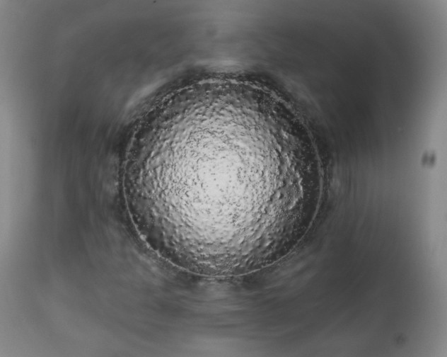 X0000112961301200909031012