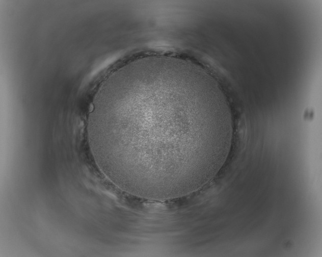 X0000112961302200909031012