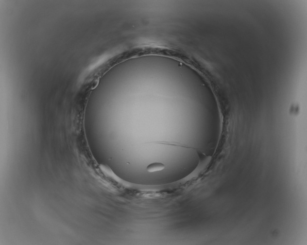 X0000112961303200909031012