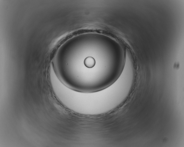 X0000112961304200909031012