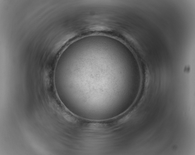 X0000112961305200909031012