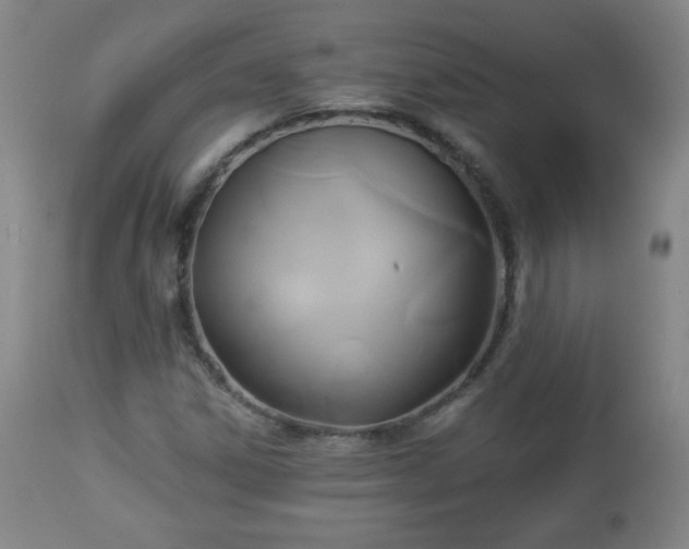 X0000112961306200909031012