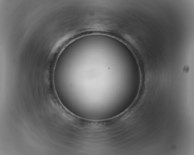 X0000112961307200909031012