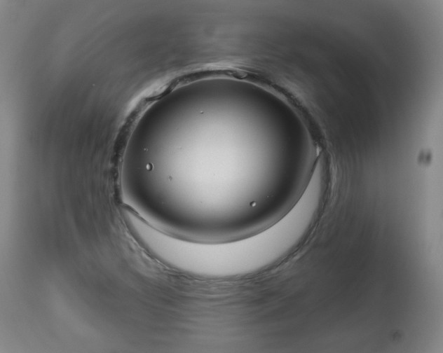 X0000112961308200909031012