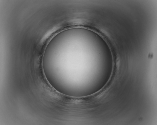 X0000112961309200909031012