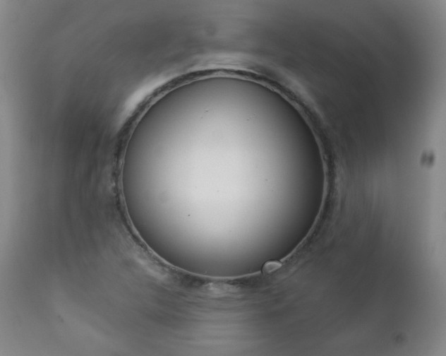 X0000112961312200909031012