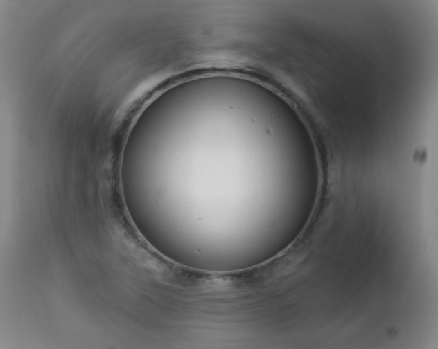 X0000112961315200909031012