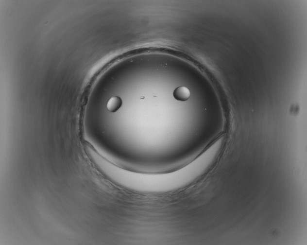 X0000112961316200909031012