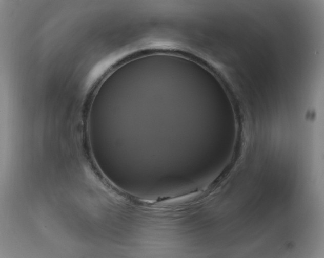 X0000112961319200909031012