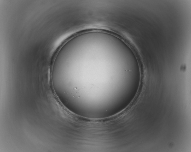 X0000112961320200909031012