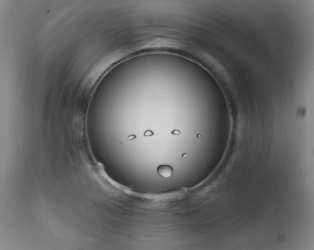 X0000112961321200909031012