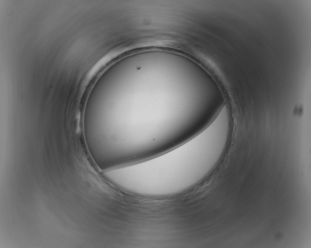 X0000112961324200909031012