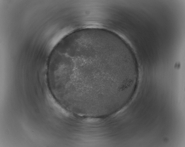 X0000112961325200909031012