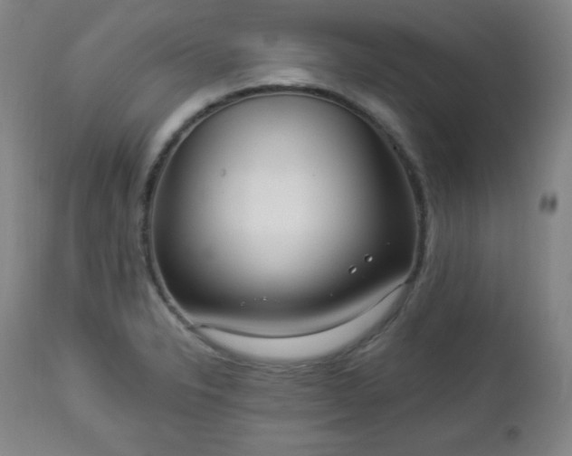 X0000112961326200909031012