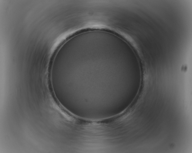 X0000112961327200909031012