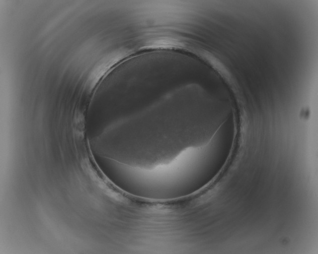 X0000112961329200909031012