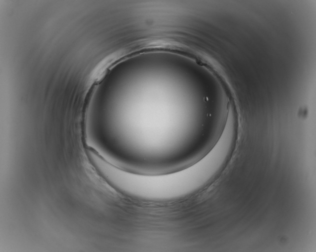 X0000112961330200909031012