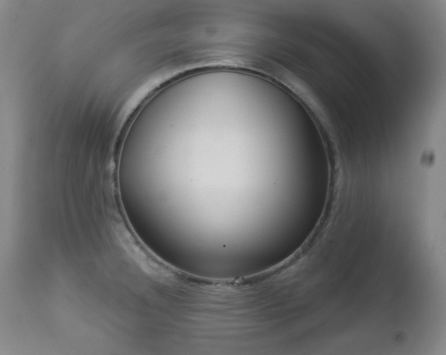 X0000112961332200909031012