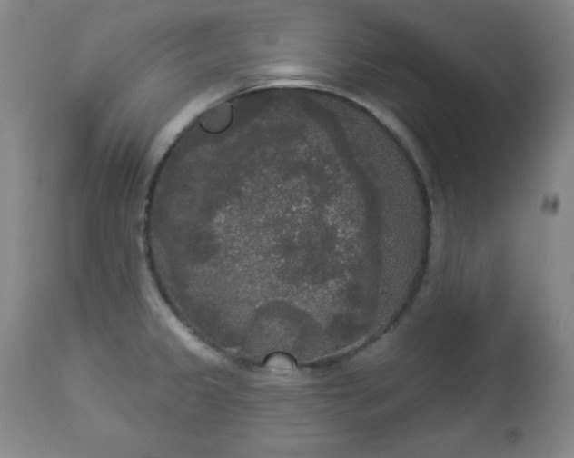 X0000112961333200909031012