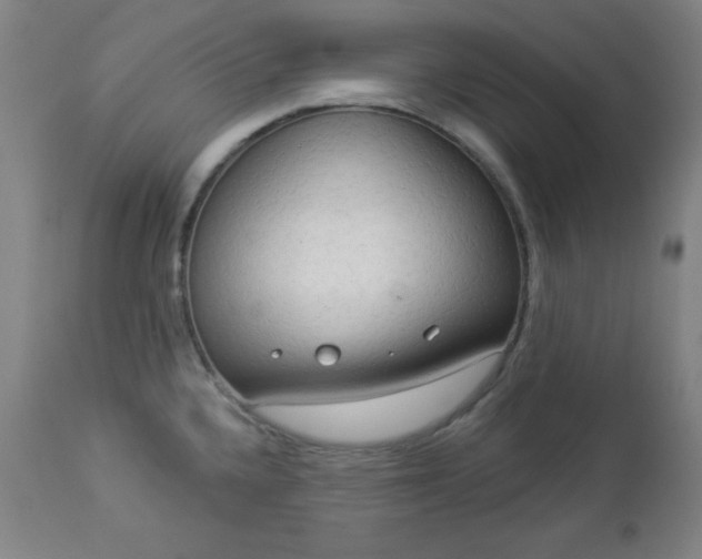 X0000112961336200909031012