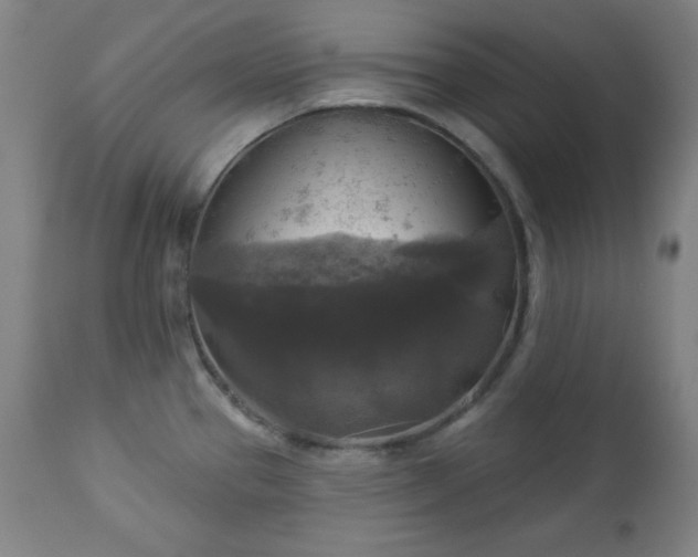 X0000112961337200909031012