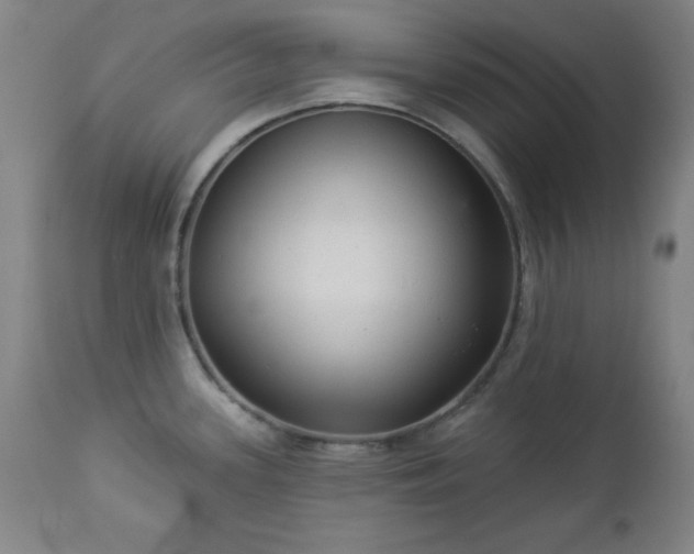 X0000112961339200909031012