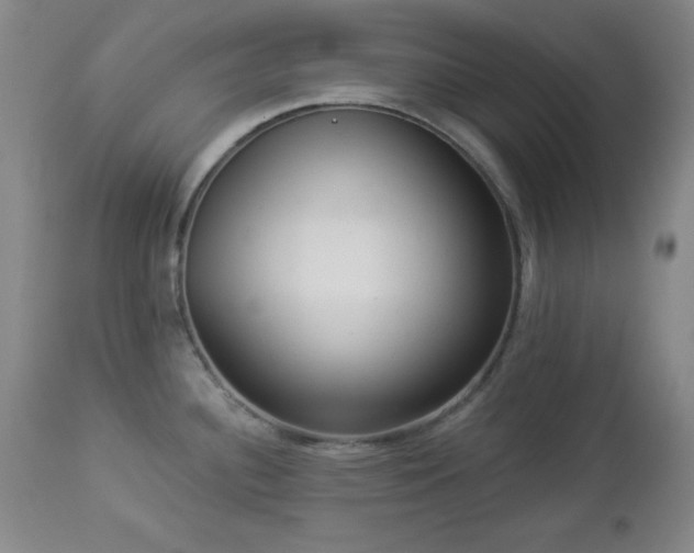 X0000112961340200909031012