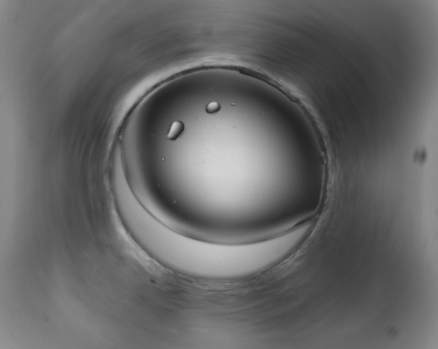 X0000112961342200909031012