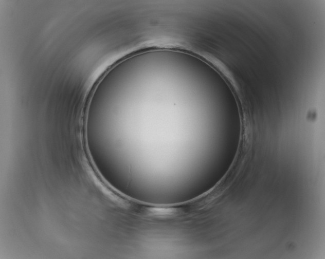 X0000112961343200909031012