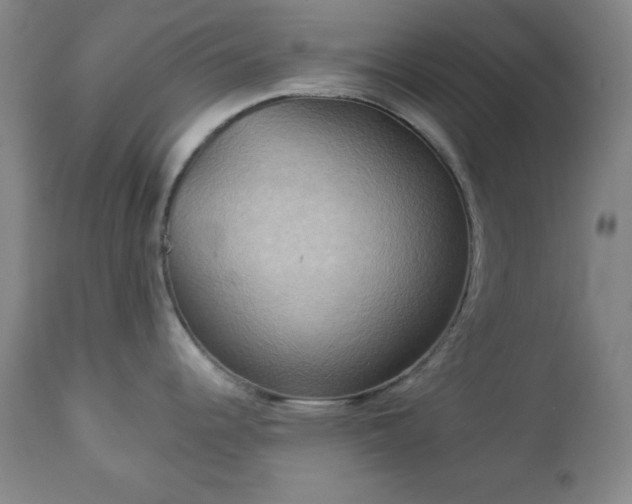 X0000112961344200909031012