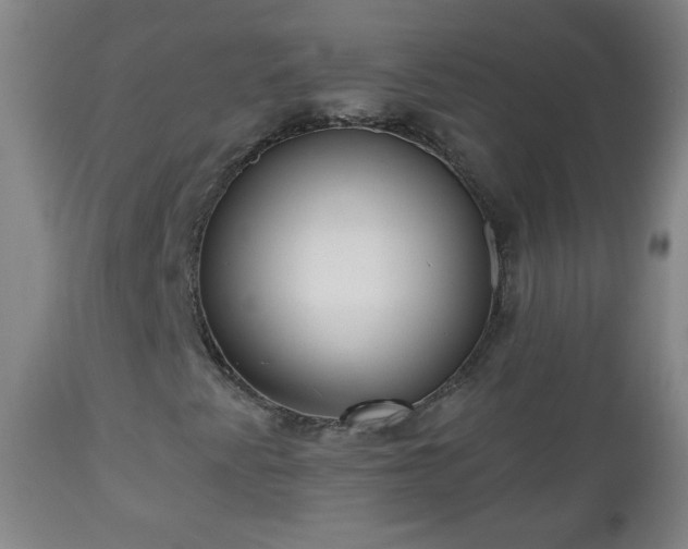 X0000112961345200909031012